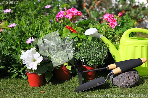 Image of planting flowers with garden tools ,various flowers and herbs in