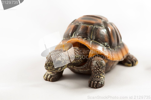 Image of toy turtle