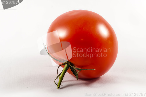 Image of tomato isolated