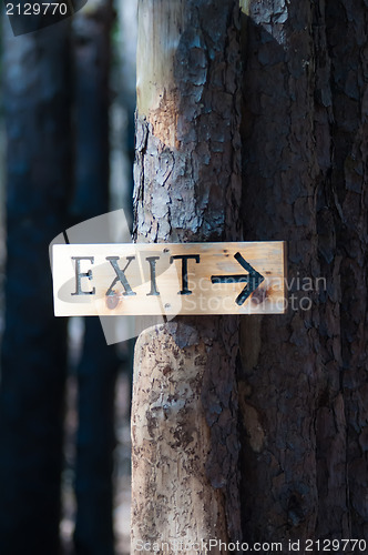 Image of tree exit sign