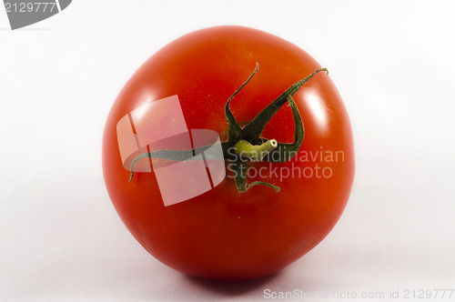 Image of tomato isolated