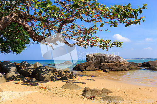 Image of Paradisiac beach in Phuket 