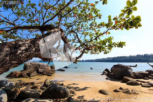 Image of Paradisiac beach in Phuket 