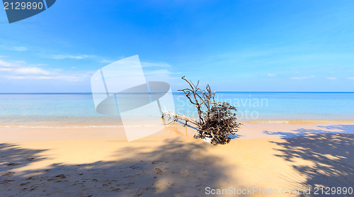 Image of Paradisiac beach in Phuket 