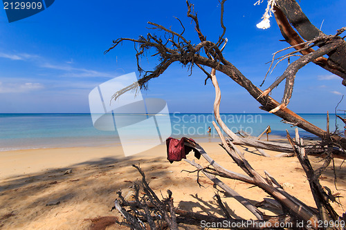 Image of Paradisiac beach in Phuket 