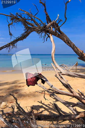 Image of Paradisiac beach in Phuket 