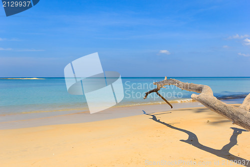 Image of Paradisiac beach in Phuket 