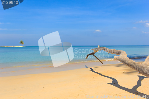 Image of Paradisiac beach in Phuket 