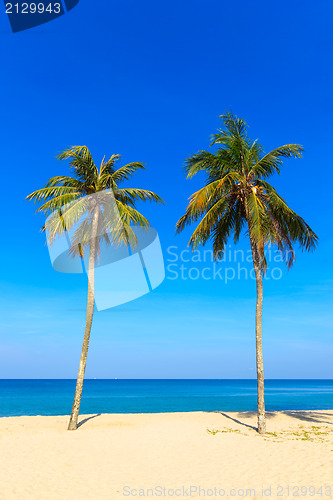 Image of Paradisiac beach in Phuket 