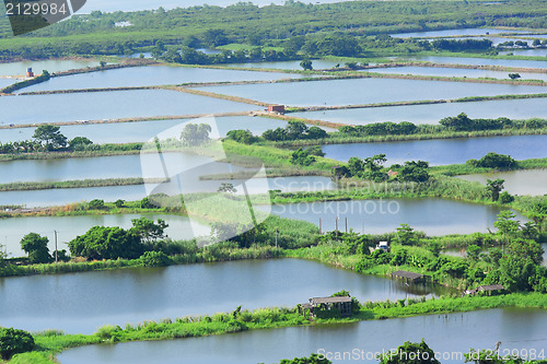 Image of Fish hatchery pond