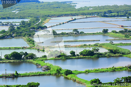 Image of Fish hatchery pond