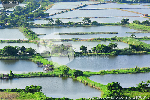 Image of Fish hatchery pond