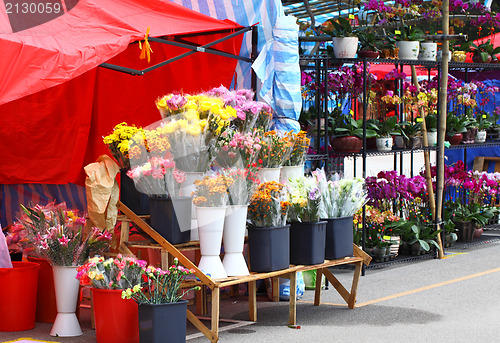 Image of flower fair for chinese new year