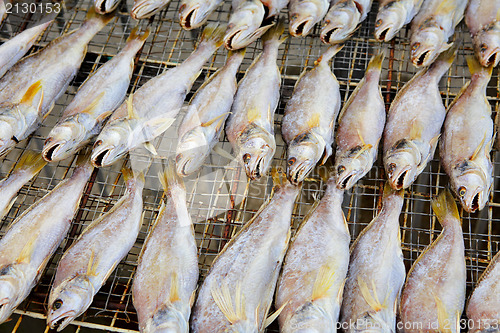 Image of dry salt fish