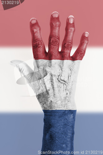 Image of Old hand with flag, European Union, Netherlands