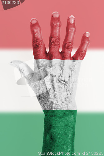 Image of Old hand with flag, European Union, Hungary