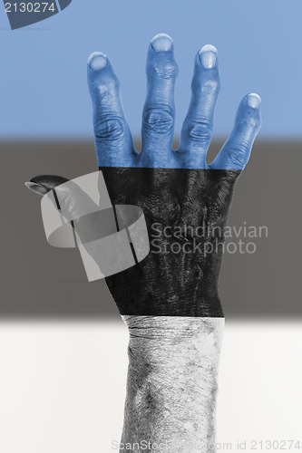 Image of Old hand with flag, European Union, Estonia