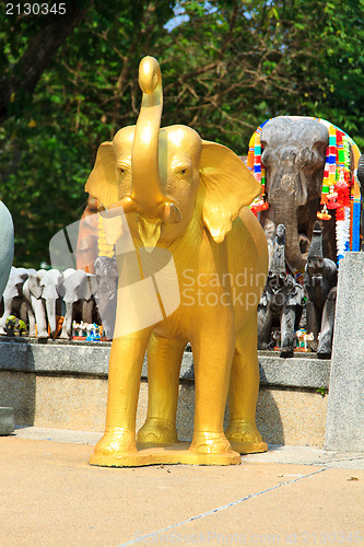 Image of Elephants at the Phuket lighthouse