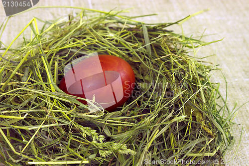 Image of Easter still life. Egg in the hay