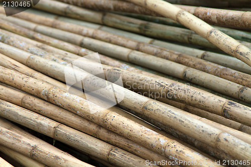 Image of Stack of bamboos