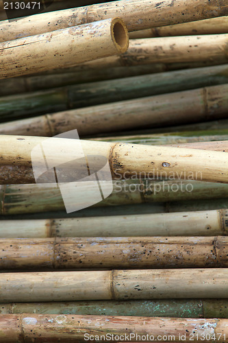 Image of Stack of bamboos