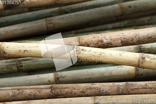 Image of Stack of bamboos