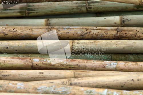 Image of Stack of bamboos