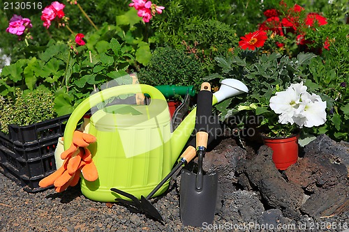 Image of planting flowers with garden tools ,various flowers and herbs in