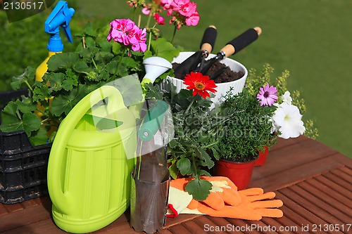 Image of planting flowers with garden tools ,various flowers and herbs in