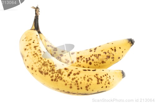 Image of Bananas