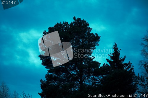 Image of Light from sky