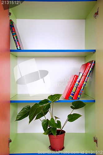 Image of shelves with a plant and books