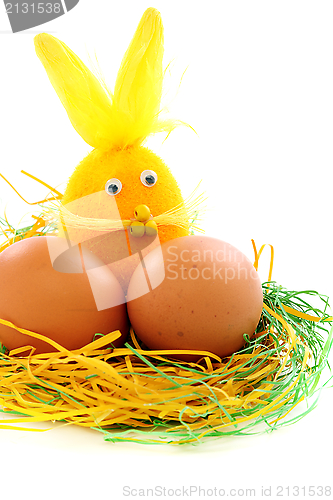 Image of Eggs and the Easter bunny in the nest.