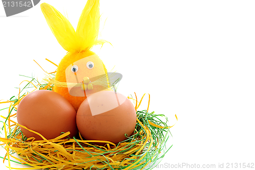 Image of Funny Easter bunny and eggs in the nest.