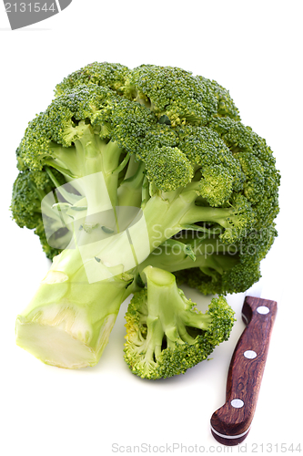 Image of Broccoli on a white background.