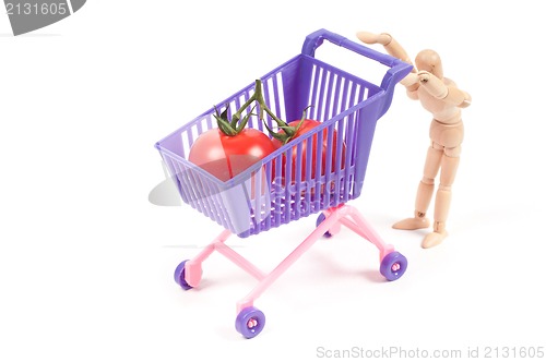 Image of Conceptual photo with miniature shopping-cart