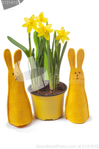 Image of Yellow narcissus in the pot and two bunnies