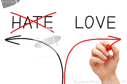 Image of Love or Hate
