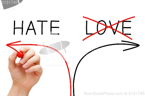 Image of Hate or Love