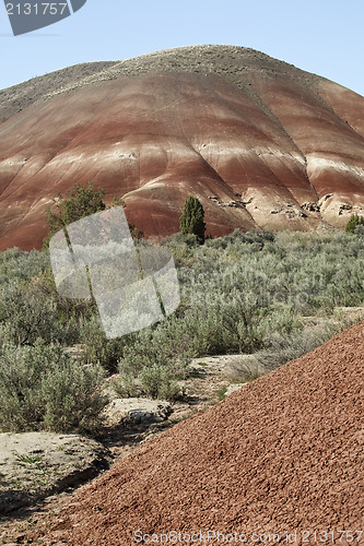 Image of Detail, Painted Hills Unit, John Day National Monument