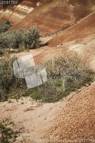 Image of Detail, Painted Hills Unit, John Day National Monument