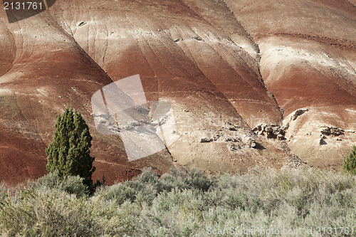 Image of Detail, Painted Hills Unit, John Day National Monument