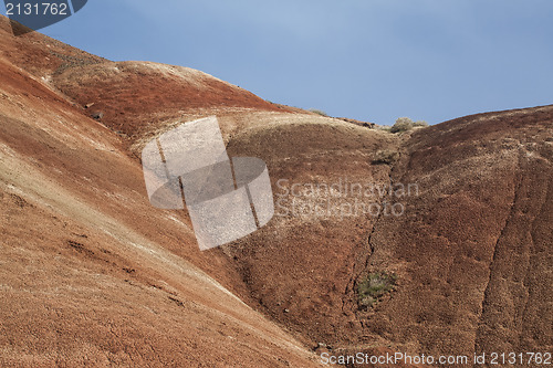 Image of Detail, Painted Hills Unit, John Day National Monument