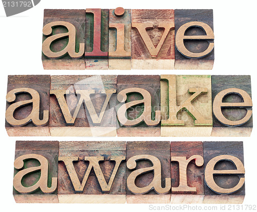 Image of alive, awake, aware 