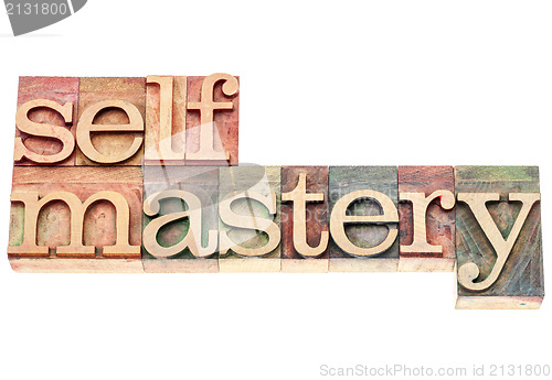 Image of selfmastery word in wood type