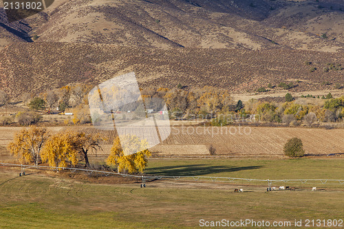 Image of farmland at Colorado foothills