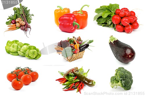 Image of Vegetable Collection