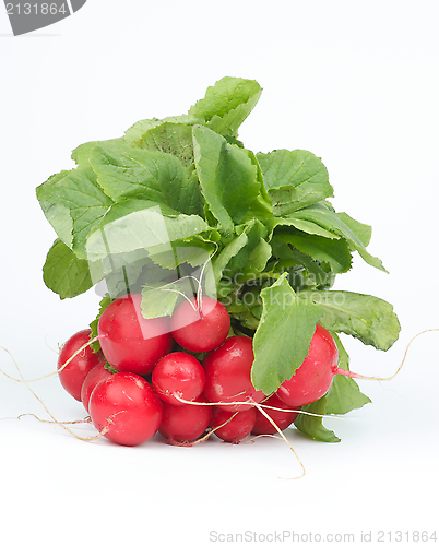 Image of Radish