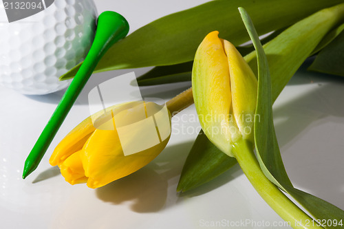 Image of Flowers and golf