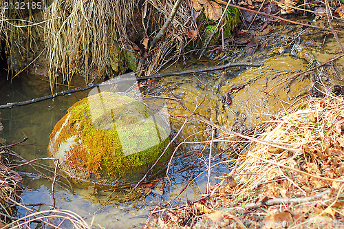 Image of stone with green moss